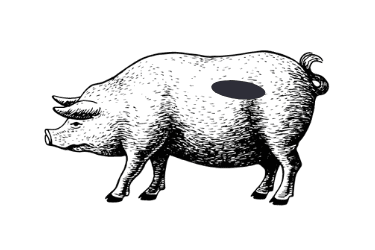 Schwein Filet